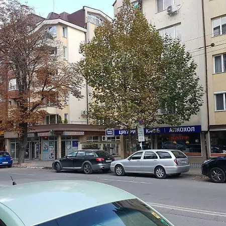 Blue Проживание в семье *